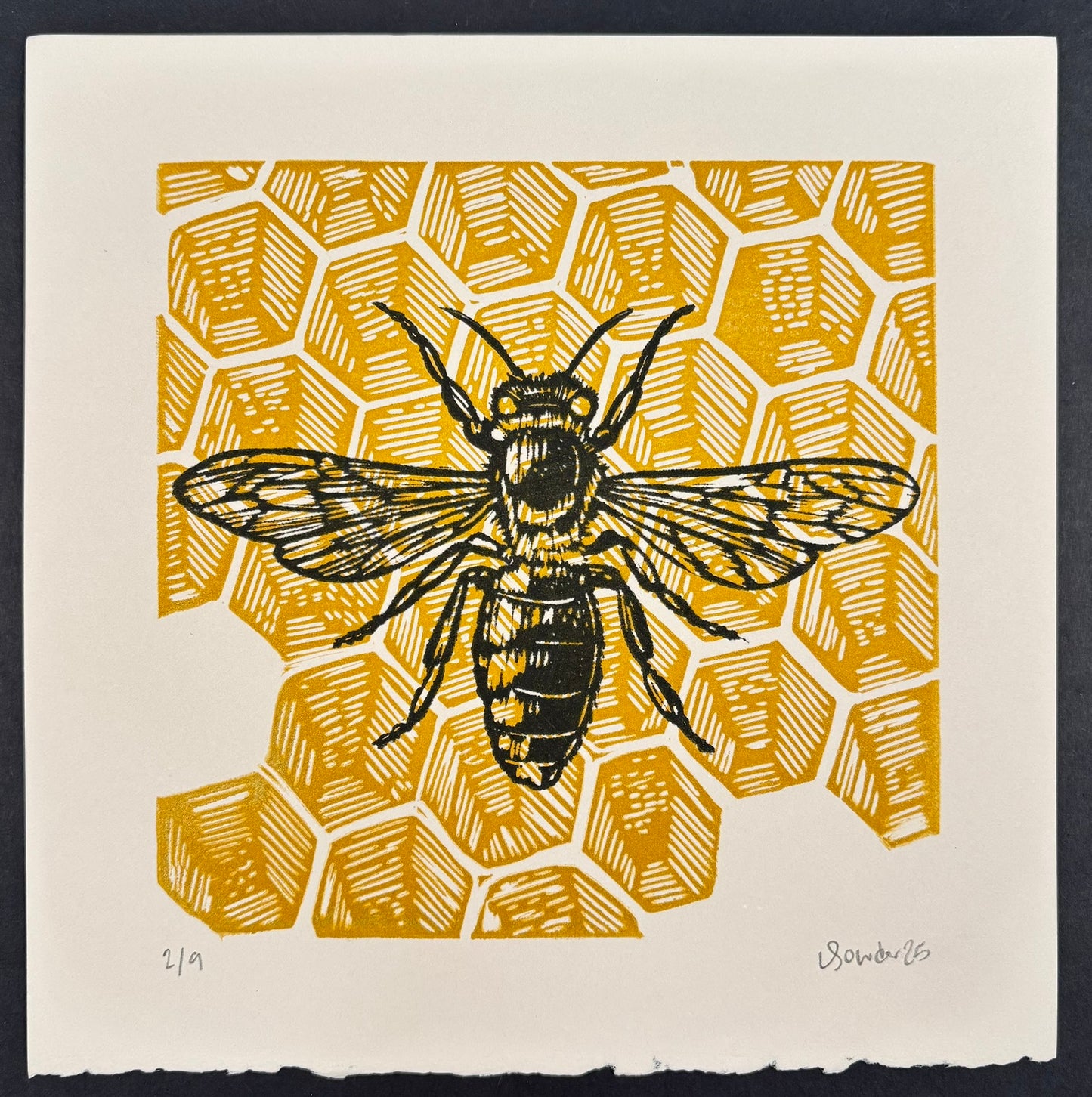 Honeybee & Honeycomb Print