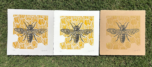 Honeybee & Honeycomb Print